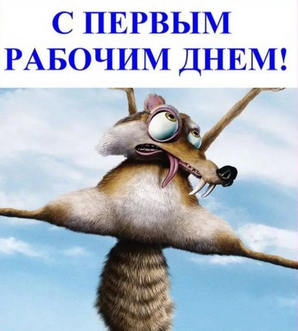 С ПЕРВЫМ РАБОЧИМ ДНЕМ!
