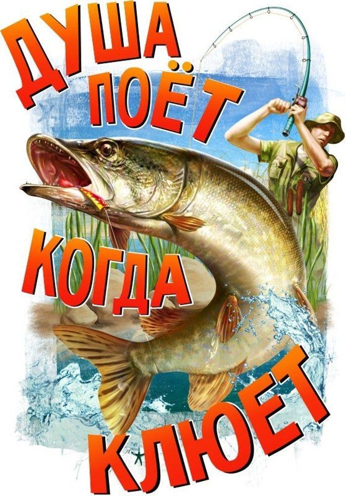 ДУША ПОЁТ КОГДА КЛЮЁТ
