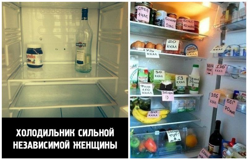 ХОЛОДИЛЬНИК СИЛЬНОЙ НЕЗАВИСИМОЙ ЖЕНЩИНЫ
