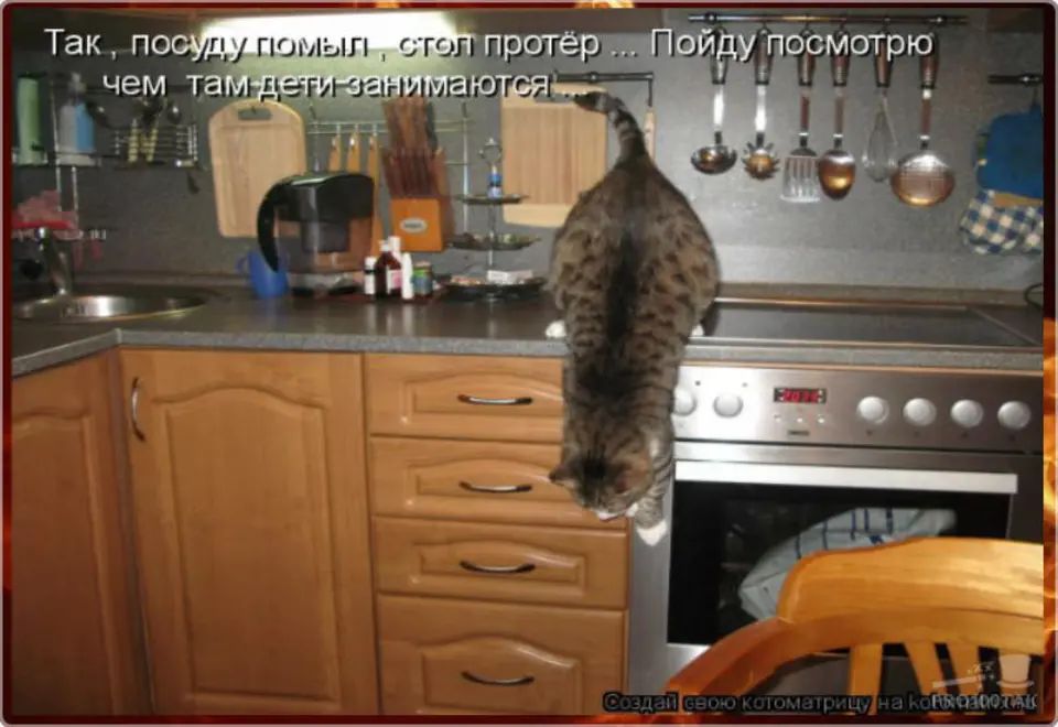 Так, посуду помыл - стол протёр ... Пойду посмотрю чем там дети занимаются...