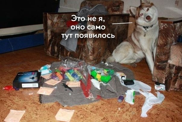 Это не я, оно само тут появилось