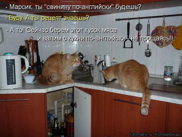 - Марсик, ты 