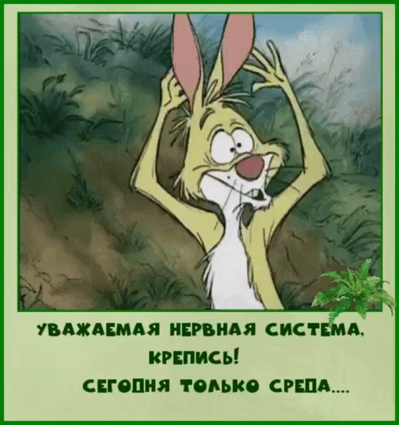 УВАЖАЕМАЯ НЕРВНАЯ СИСТЕМА, КРЕПИСЬ! СЕГОДНЯ ТОЛЬКО СРЕДА....