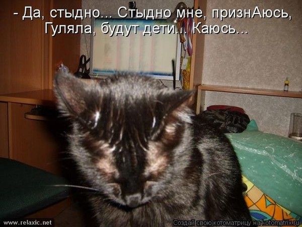 - Да, стыдно... Стыдно мне, признаюсь, Гуляла, будут дети... Каюсь...
