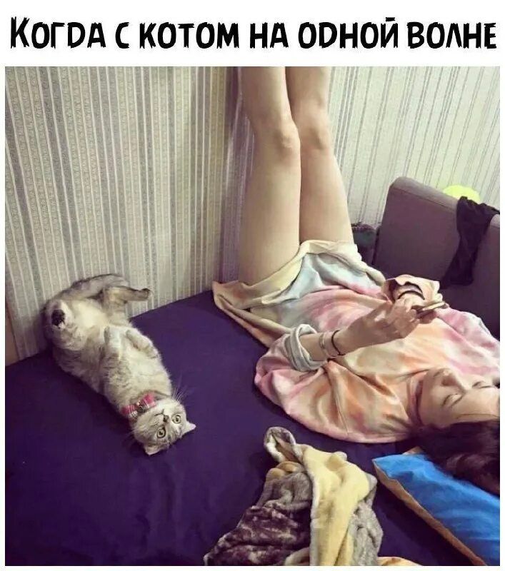 Когда с котом на одной волне
