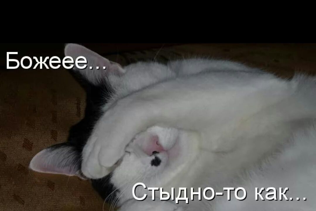 Божеее... Стыдно-то как...