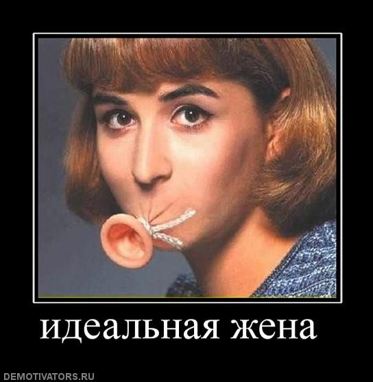 идеальная жена