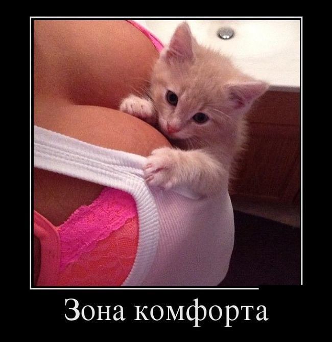 Зона комфорта