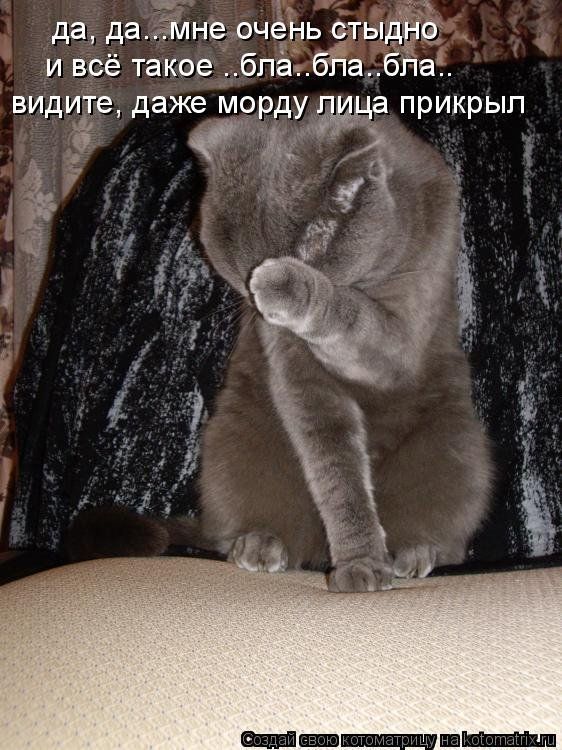 да, да...мне очень стыдно и всё такое ..бла..бла..бла.. видите, даже морду лица прикрыл