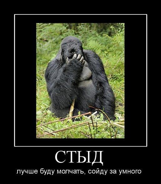 СТЫД
лучше буду молчать, сойду за умного