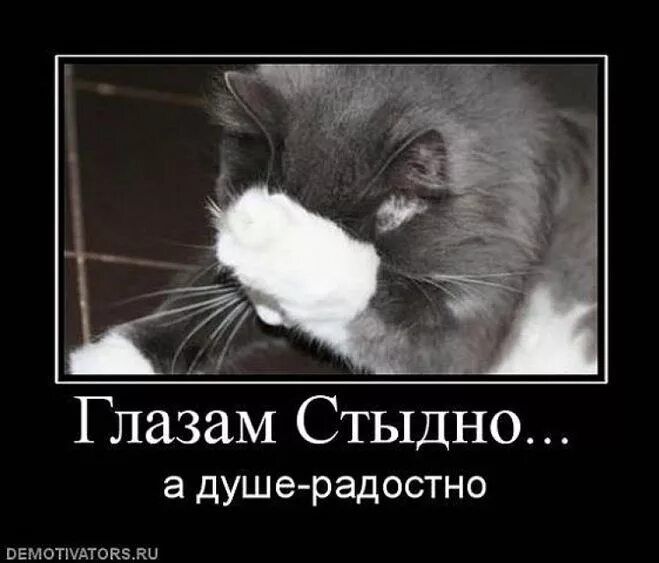 Глазам Стыдно... а душе-радостно