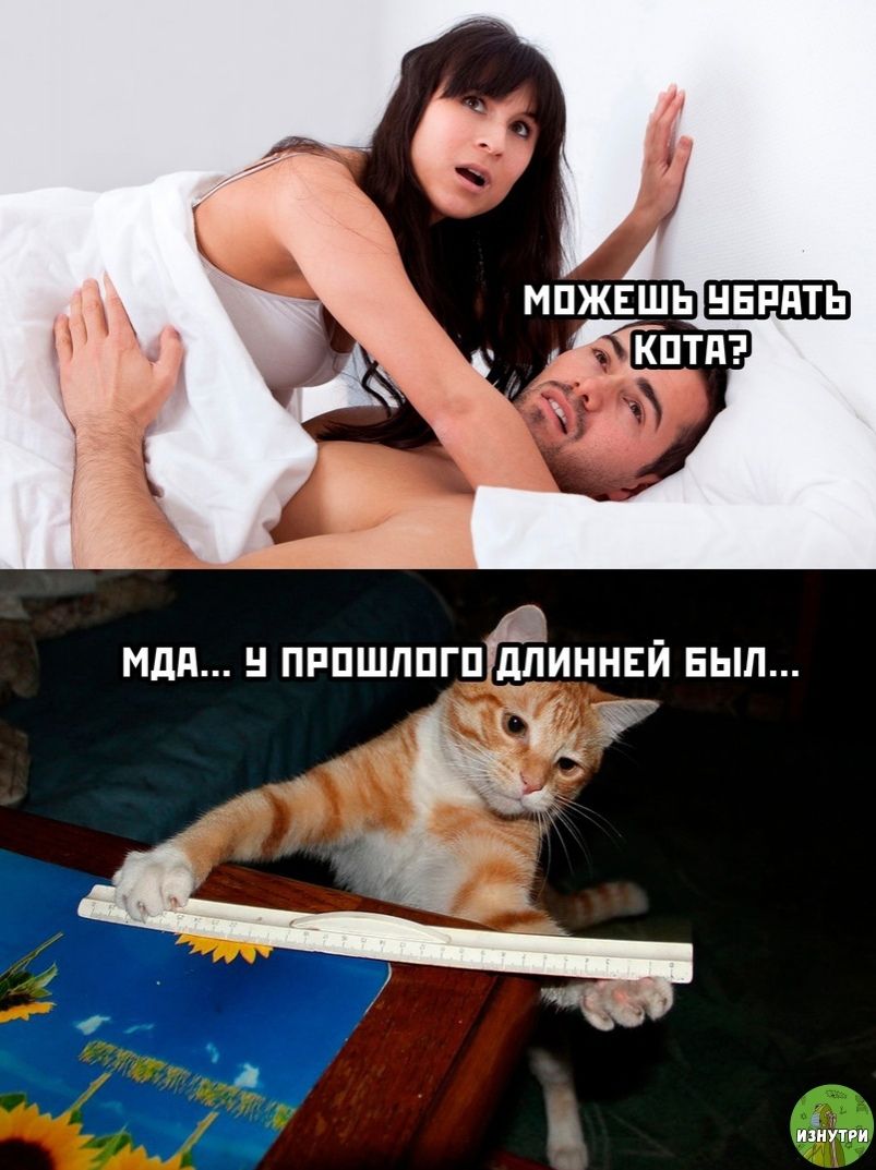 можешь убрать кота? мда... у прошлого длинной был...