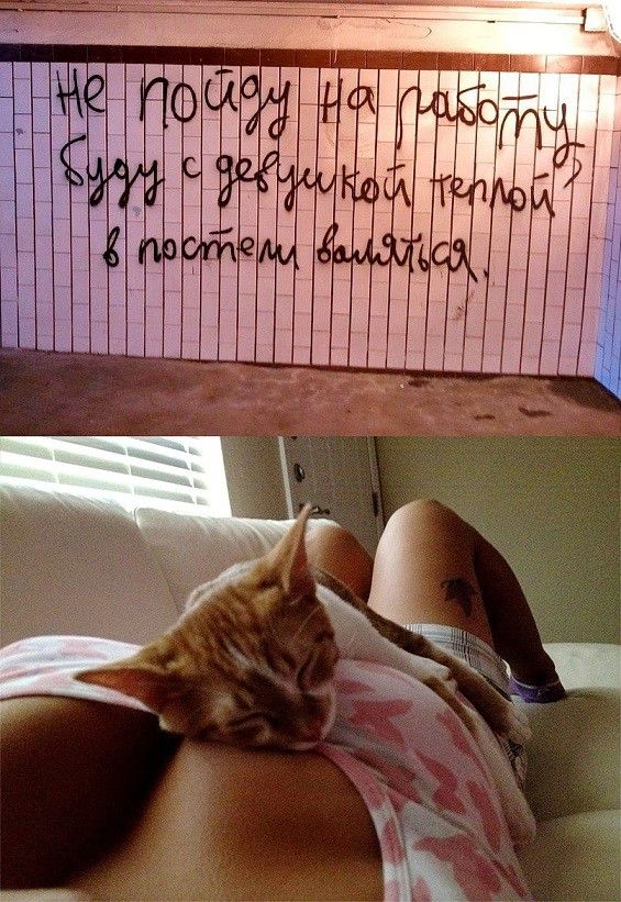 Не пойду на работу, буду с девушкой теплой в постели валяться.