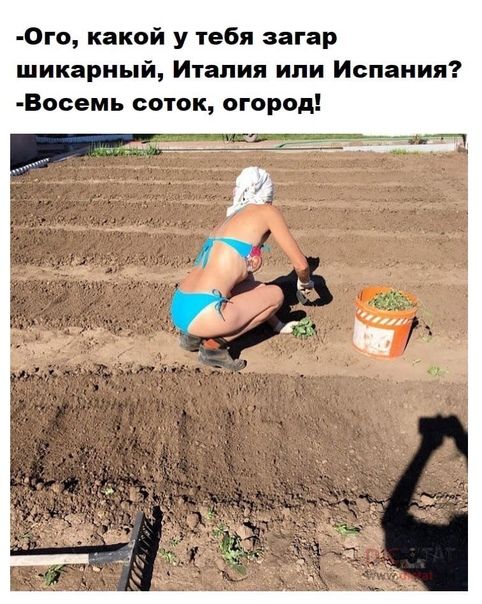 -Ого, какой у тебя загар шикарный, Италия или Испания? -Восемь соток, огород!
