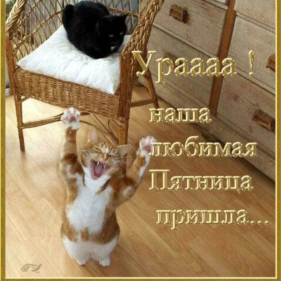 Ураaaaa ! наша любимая Пятница пришла...
