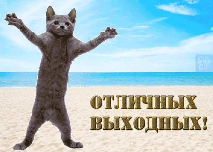 ОТЛИЧНЫХ ВЫХОДНЫХ!