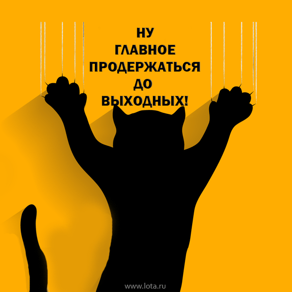 НУ ГЛАВНОЕ ПРОДЕРЖАТЬСЯ ДО ВЫХОДНЫХ!