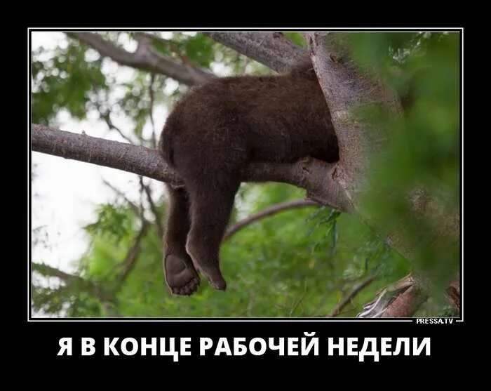 Я в конце рабочей недели