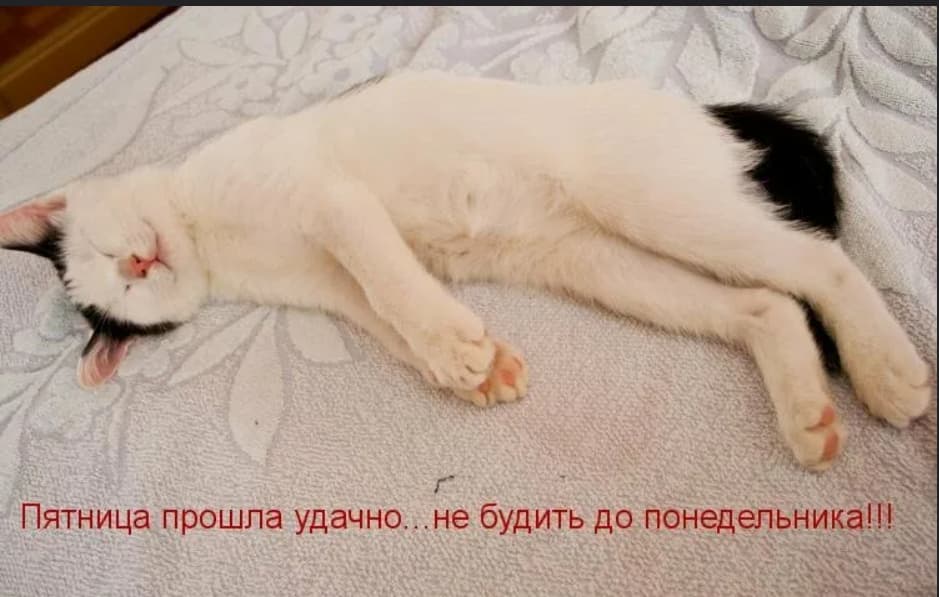 Пятница прошла удачно.. не будить до понедельника!!!