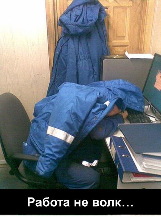 Работа не волк...