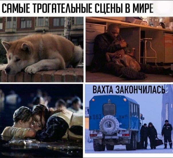 САМЫЕ ТРОГАТЕЛЬНЫЕ СЦЕНЫ В МИРЕ
ВАХТА ЗАКОНЧИЛАСЬ