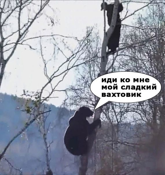 иди ко мне мой сладкий вахтовик