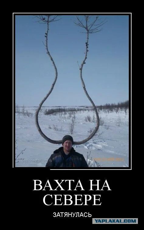 ВАХТА НА СЕВЕРЕ ЗАТЯНУЛАСЬ