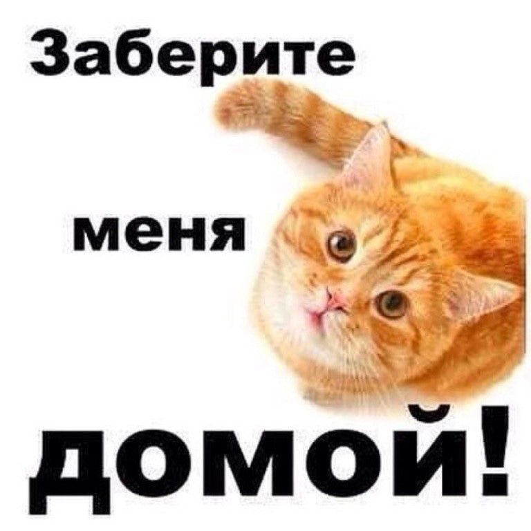 Заберите меня домой!