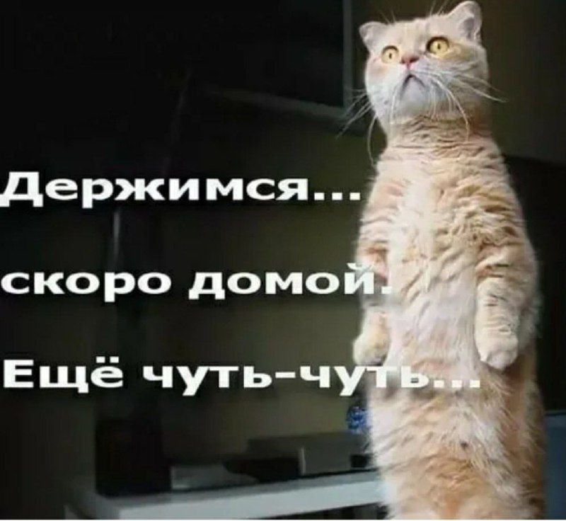 Держимся... скоро домой. Ещё чуть-чуть...