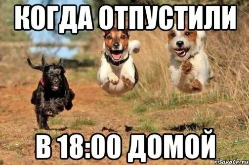 Когда отпустили в 18:00 домой