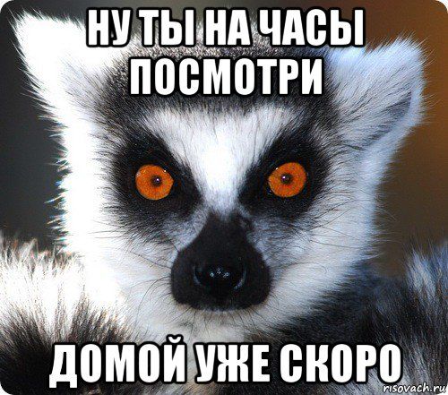 Ну ты на часы посмотри, домой уже скоро