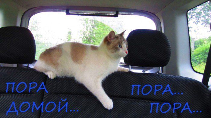 ПОРА ДОМой... ПОРА... ПОРА...