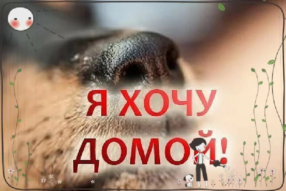Я ХОЧУ ДОМОЙ!