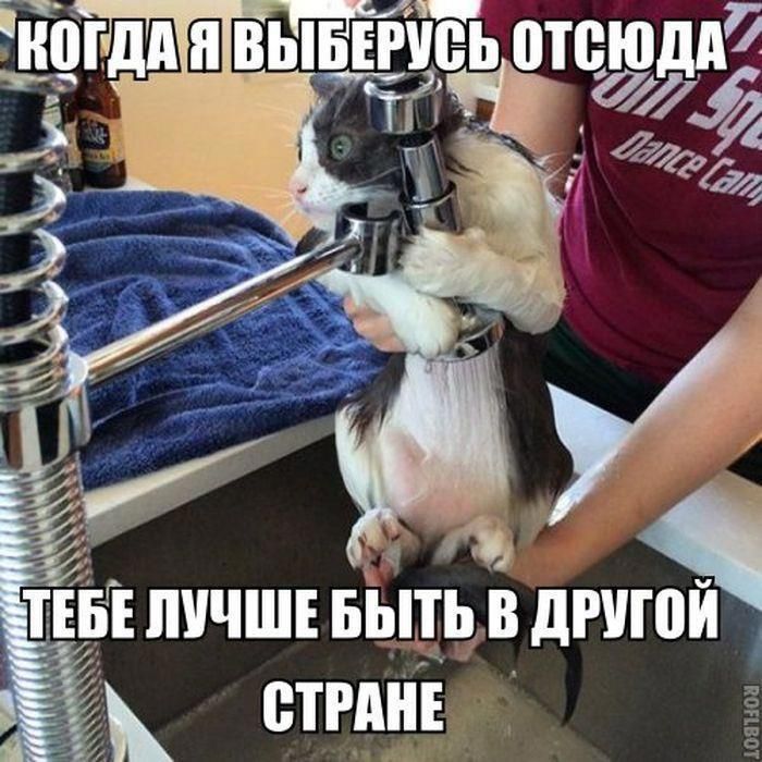 Когда я выборюсь отсюда Тебе лучше быть в другой стране