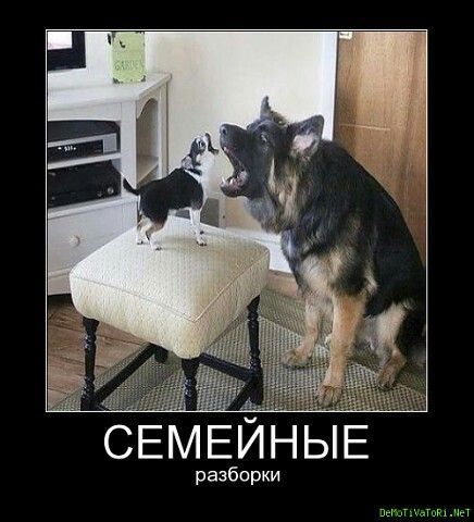 СЕМЕЙНЫЕ разборки