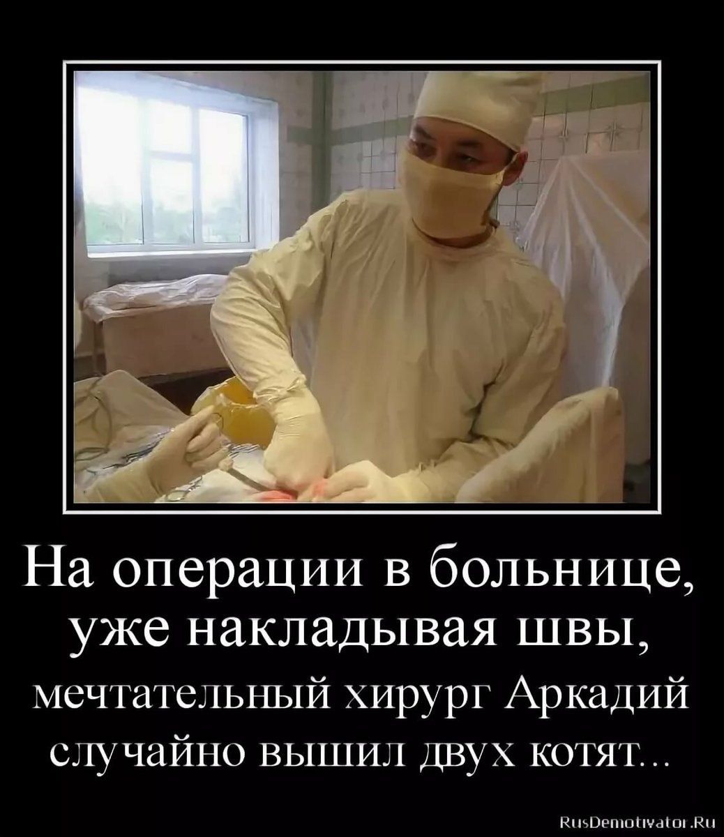 На операции в больнице, уже накладывая швы, мечтательный хирург Аркадий случайно вышил двух котят...