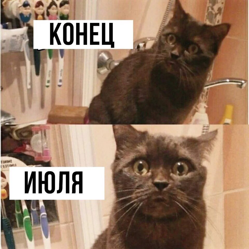 КОНЕЦ ИЮЛЯ