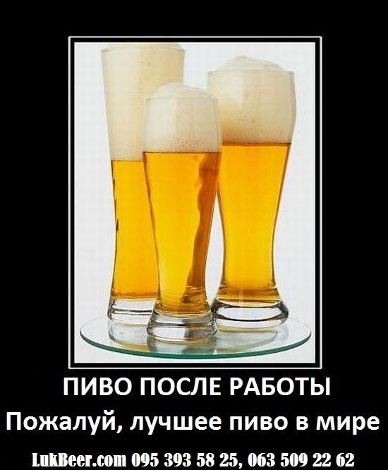 ПИВО ПОСЛЕ РАБОТЫ Пожалуй, лучшее пиво в мире