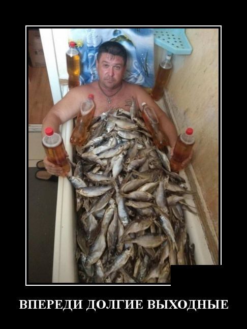 ВПЕРЕДИ ДОЛГИЕ ВЫХОДНЫЕ