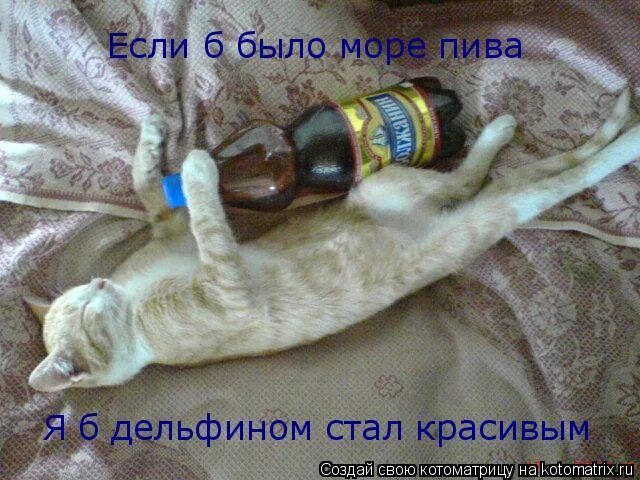 Если б было море пива
Я б дельфином стал красивым