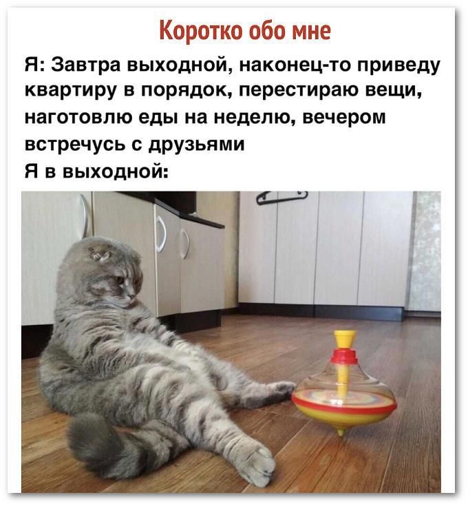 Коротко обо мне
Я: Завтра выходной, наконец-то приведу квартиру в порядок, перестираню вещи, наготавливаю еды на неделю, вечером встречусь с друзьями.
Я в выходной: