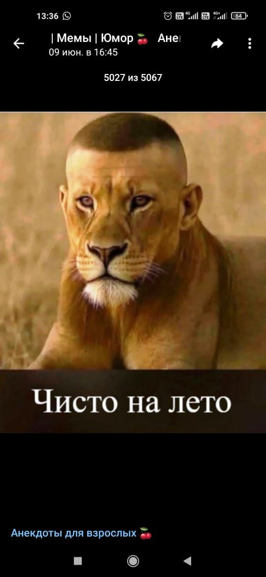 Чисто на лето