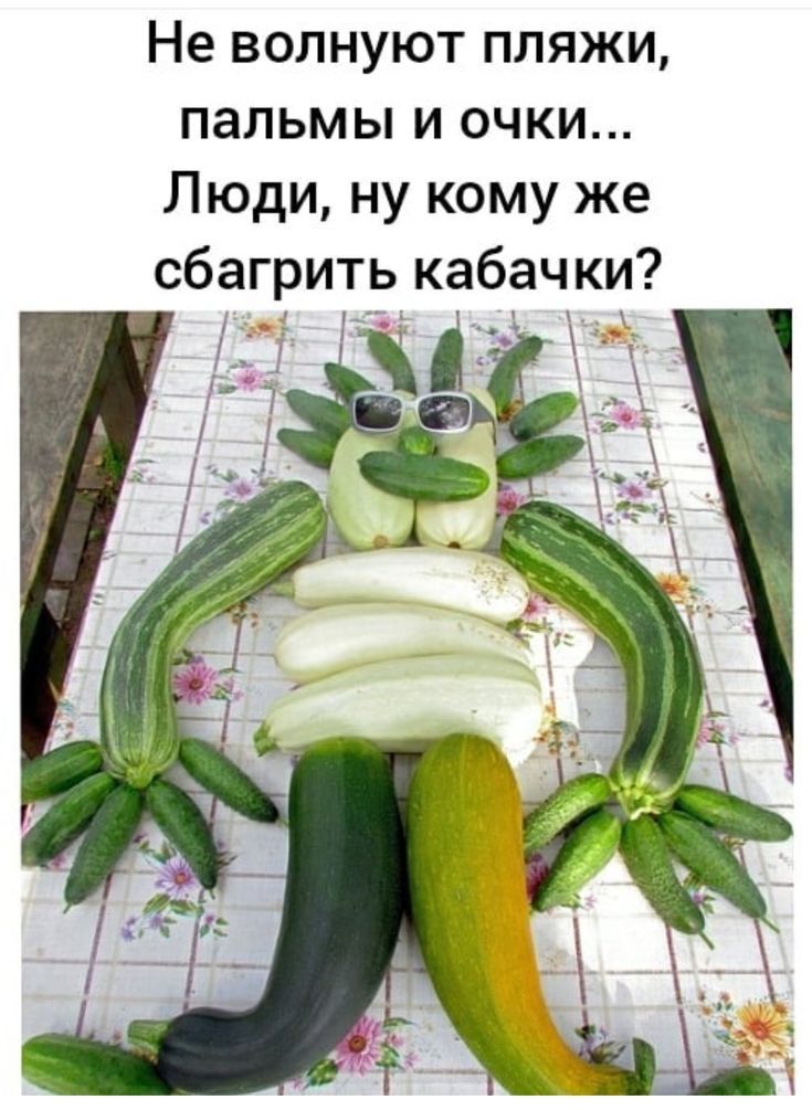Не волнуют пляжи, пальмы и очки... Люди, ну кому же сбагрить кабачки?