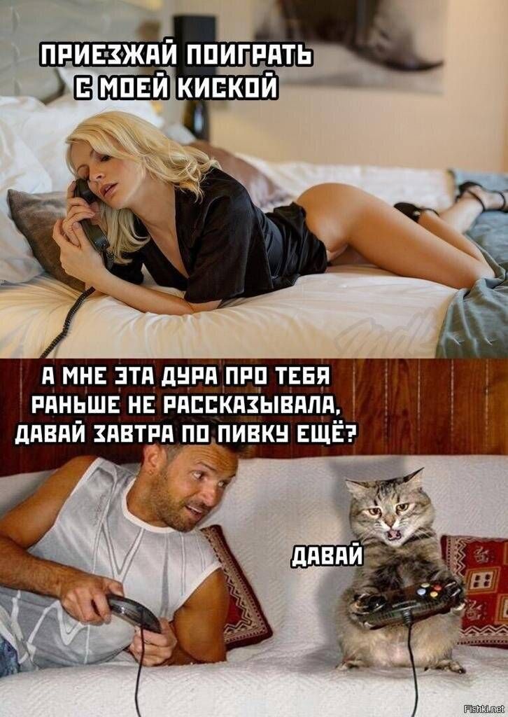 ПРИЕЗДАЙ ПОИГРАТЬ С МОЕЙ КИСКОЙ
А МНЕ ЭТА ДУРА ПРО ТЕБЯ РАНЬШЕ НЕ РАССКАЗЫВАЛА, ДАВАЙ ЗАВТРА ПО ПИВКУ ЕЩЁ?