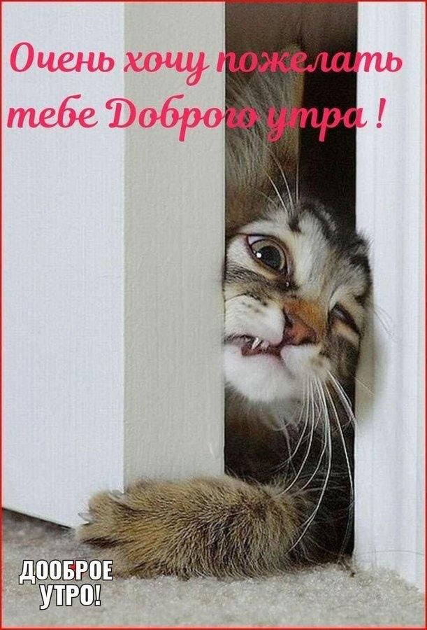 Очень хочу пожелать тебе Доброего утра !