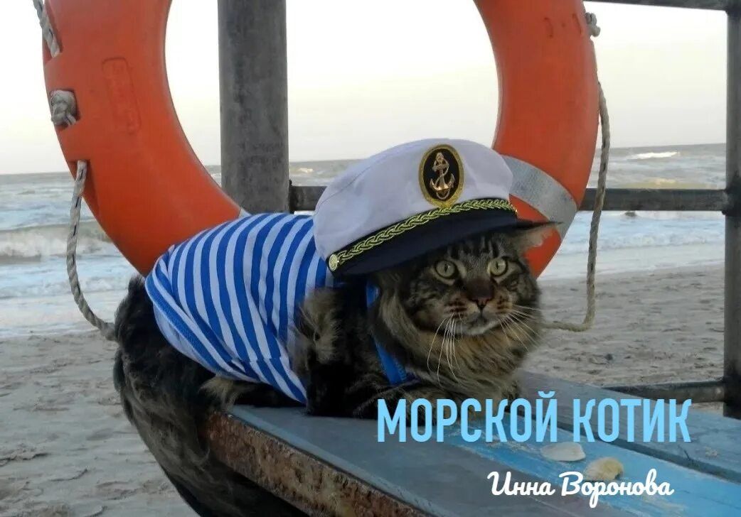 Ъ «ЕН
* МОРСКОЙ,КОТИКа;

'ИннаВ
