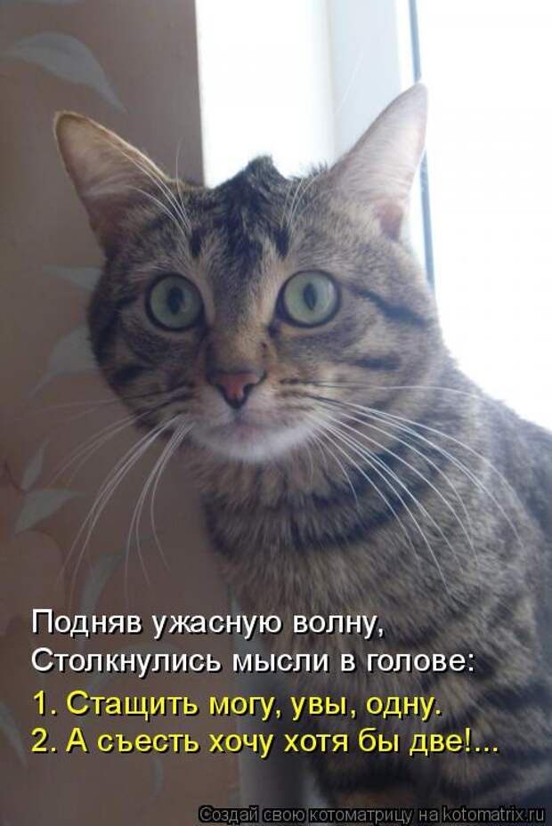 Подняв ужасную волну,
Столкнулись мысли в голове:
1. Стащить могу, увы, одну.
2. А съесть хочу хотя бы две!...