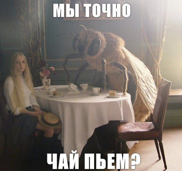 МЫ ТОЧНО ЧАЙ ПЬЁМ?