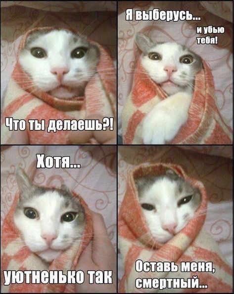 Что ты делаешь?!
Я выберусь... и убью тебя!
Хотя... уютненько так
Оставь меня, смертный...