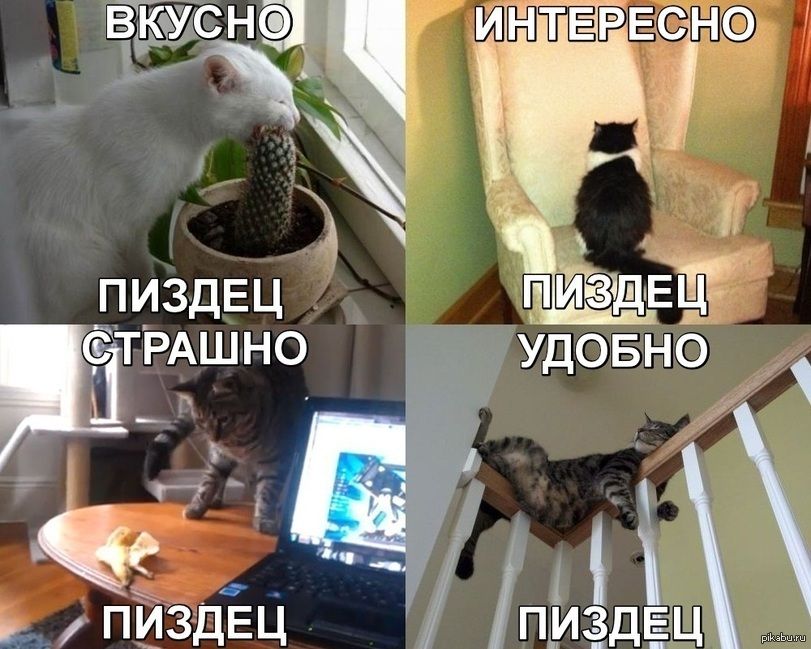 ВКУСНО
ИНТЕРЕСНО
ПИЗДЕЦ СТРАШНО
ПИЗДЕЦ УДОБНО
ПИЗДЕЦ
ПИЗДЕЦ